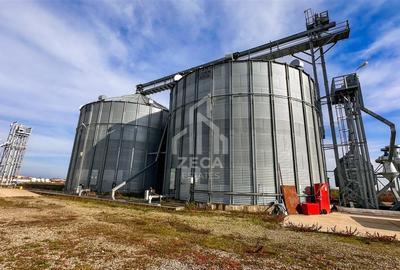 Siloz cu capacitate 3000 tone (+3000t pista betonata) | 2 ha teren - 11