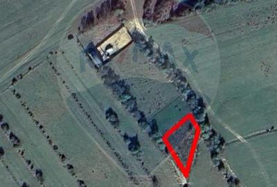 Teren intravilan de 857 mp, în Tohănița