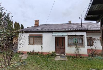 Casa , singur in curte la intrarea in ZIZIN - 1