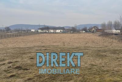 Teren extravilan de 2900 mp, în Șirioara