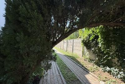 Casă individuală de vânzare -322 mp, 6 camere, Alba Iulia, ZONĂ EXCLUSIVISTĂ - 12