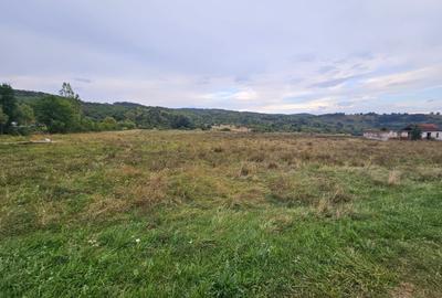 Teren localitatea Petris, Arad - 2