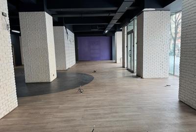 Spațiu comercial, 290 mp în Moșilor