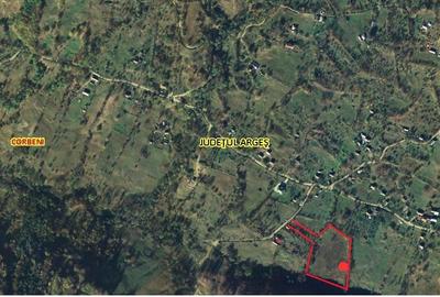 Teren agricol extravilan de 11740 mp, în Corbeni
