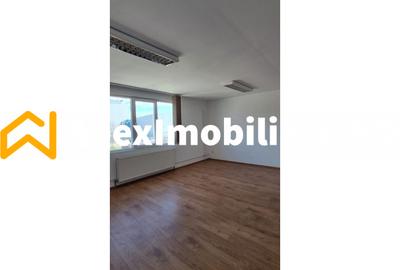 Hala Industrială Malu Rosu Ploiesti 550 mp + Birouri | Parcare 20 | Acces TIR | - 9