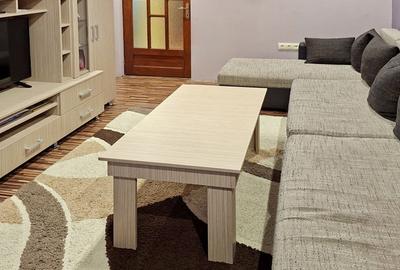 Casă Duplex tip P+E+M lângă Timișoara în comuna Săcălaz cu teren 780mp - 4