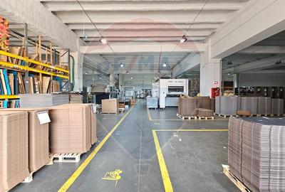 Hale Industriale 5065 mp de vanzare Str. Bradului - Bacau - 5