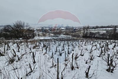 Teren intravilan 7000 mp Simnic, Izvor - 3