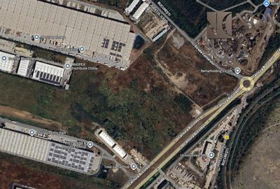 Teren 23.600 mp | Chitila - Centura Bucuresti | 0% Comision - 8