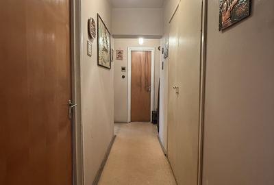 Apartament 3 amere. Parc Tineretului.  Zona Trestiana. La 3 min. de metrou - 6
