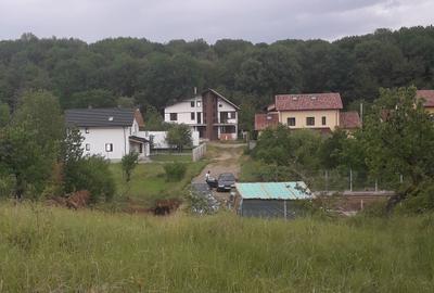 Teren deosebit, langa padure - 1