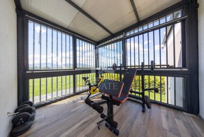 Sanpetru ,Subcetate-Casa 4 camere,3 bai+480 mp teren - 35
