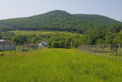 Teren intravilan, zona Vetel - 2