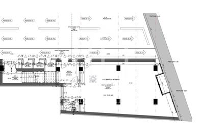 Spatiu comercial in suprafata de 79mp, vad stradal, zona Turnisor - 3