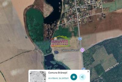 Teren intravilan în Brănești