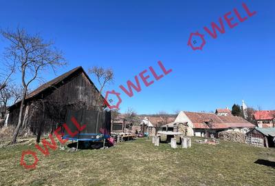 Casă de vânzare în Valea Crișului! - 10