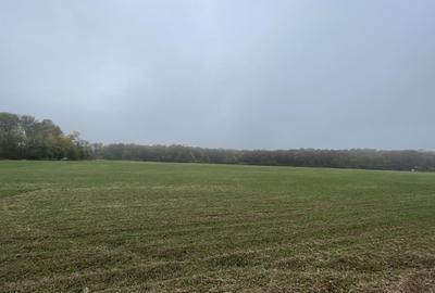 9400 mp | Ideal pentru investitie | Tunari | Deschidere la padure - 6
