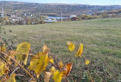 Casa  cu panorama  lac si 1500 mp teren – Hanul Pescarilor, aproape de Oradea - 8