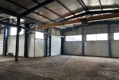 Spațiu industrial în Deva - Platformă betonată, 2 hale , linie CFR - 5