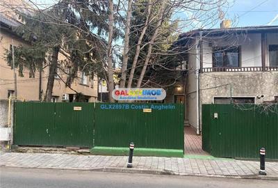 Vila individuala cu gradina generoasa - Floreasca - 10
