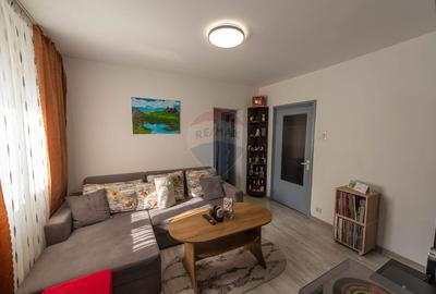 Apartament cu 2 camere complet mobilat de vanzare Salajan Trapezului - 2