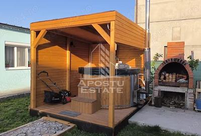 Casa cu sediu firma, atelier si apartament separat Mosnita Noua - 17