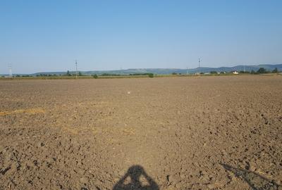 Teren intravilan, 2290mp, deschidere 21ml, in Serbanesti - 1