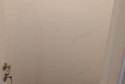 Apartament 3 camere Maria Rosetti 36 - 20