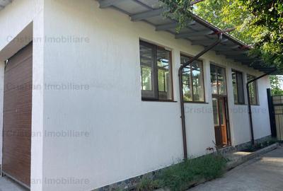 Hala 60 mp, PRETABILA ORICE TIP DE ACTIVITATE, zona Piata Saraca - 4