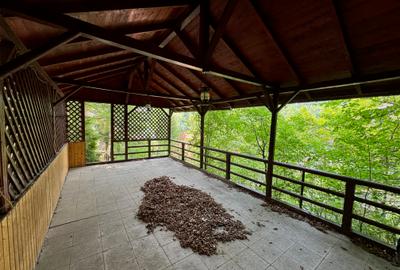 Sinaia Strada Cerbului - 45