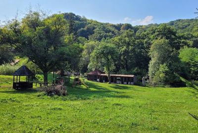 Oportunitate, Restaurant cu MiniPensiune 800mp, 1,8ha teren, Via Transilvanica - 19
