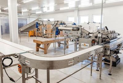BUSINESS DE VANZARE Plantatie de afin din Romania - 2