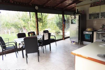 Ansamblu de proprietati in Costinesti - 13