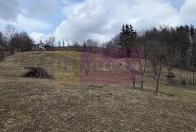 Teren intravilan de vanzare in Valea Doftanei - 4