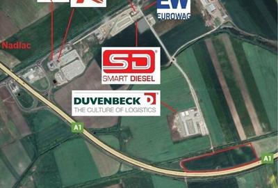 De vanzare potential teren industrial, llogistica Pecica - 3