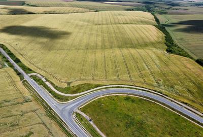 Teren la sosea Ortisoara - Autostrada A1 - 15