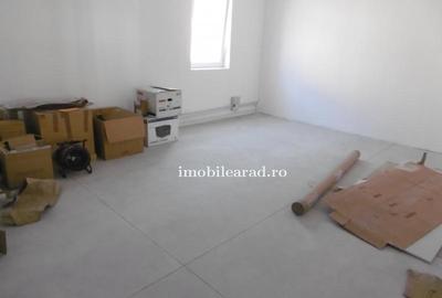 Hale de închiriat in Arad diverse zone aproape de autostrada A1 - 5