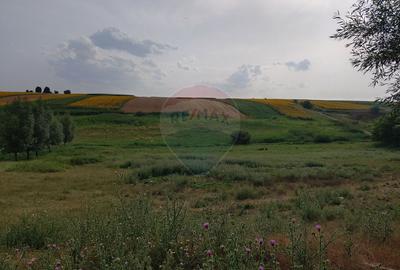 Teren parțial intravilan-300000mp Stroiești-Trei Movile, Suceava - 13