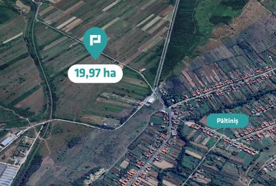 Teren extravilan agricol de 20 ha lângă Caransebes - 2