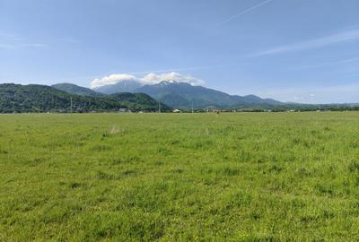 Teren Intravilan  cu destinatie casa vacanta -Glajarie - 5
