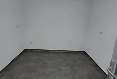 Spatiu Sad de inchiriat in apropiere de Iulius Mall - 15