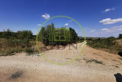 Teren intravilan de vanzare, 3.500 mp, cu front stradal de 21,5 ml - 2