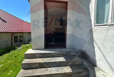 Casa bunicilor, cu gradina, Lera, Buzau! - 9