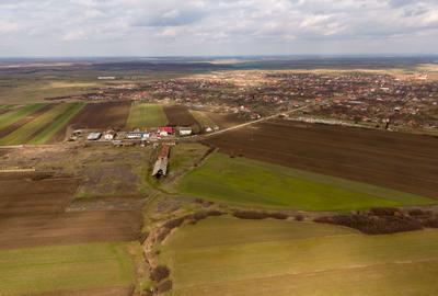 Fermă cu teren intravilan de 35000 mp în Mișca - 8