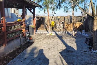 Vanzare proprietate cu 2 case Zurbaua- Dragomiresti Vale - 23