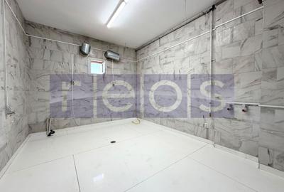 SPATIU COMERCIAL STRADAL | 250 MP | CURTE 120 MP | 10 LOCURI PARCARE | COLENTINA - 5