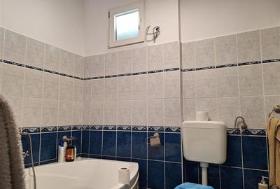 Reco, Casa si Hala industriala Sabolciu - 12
