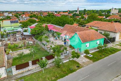 Casă spațioasă cu livadă în Buziaș - 17
