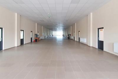 Clădire birouri P+2, 4846 mp utili, teren 5342 mp, parțial închiriată, Vaslui - 10