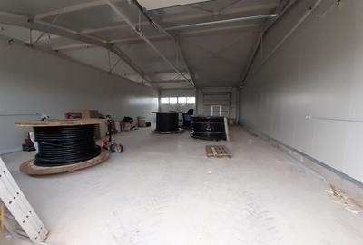 Hale cu suprafete intre 100-300mp in zona Drumul Intre Tarlale - 7